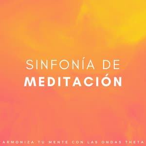 Sinfonía De Meditación: Armoniza Tu Mente Con Las Ondas Theta - Reiki