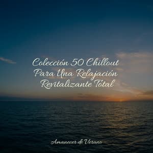 Colección 50 Chillout Para Una Relajación Revitalizante Total - Yoga Sounds