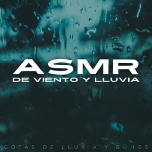ASMR De Viento Y Lluvia: Gotas De Lluvia Y Búhos - ASMR Lluvioso