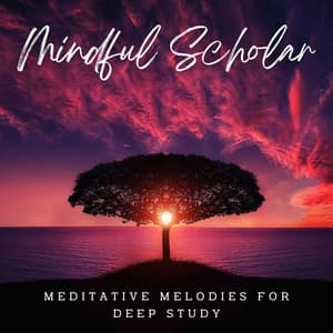 Mindful Scholar: Meditative Melodies for Deep Study - Crystal Calm Studio