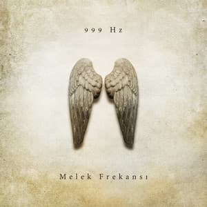 999 Hz Melek Frekansı - Sueño Meditación