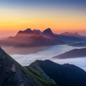 Pulso Rítmico: Ritmos Para La Vida - DNA de naturaleza