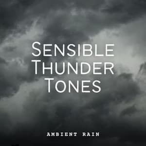 Ambient Rain: Sensible Thunder Tones - Rain Hard