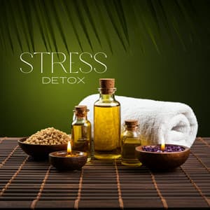 Stress Detox: Purify Your Mind and Body - Beat Stress