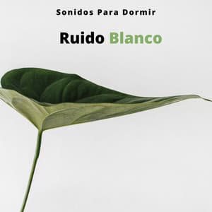 Ruido Blanco: Sonidos Para Dormir - Musica Para Dormir