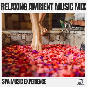 Relaxing Ambient Music Mix - Spa Music Experience