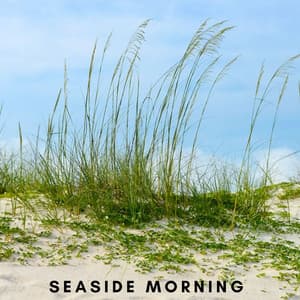 Seaside Morning - Koh Lantana