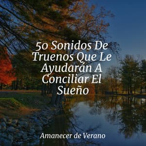 50 Sonidos De Truenos Que Le Ayudarán A Conciliar El Sueño - El hada de las canciones de cuna