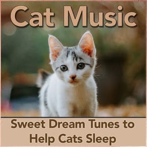 Cat Music: Sweet Dream Tunes to Help Cats Sleep - RelaxMyCat