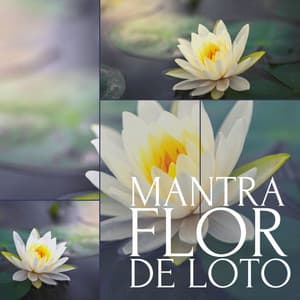 Mantra Flor de Loto: Música Tibetana para Meditar con Sonidos de la Naturaleza - Música Para Meditar y Relajarse