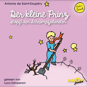 Der kleine Prinz stopft den Schrumpfplaneten - Der kleine Prinz
