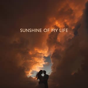 Sunshine On My Life - Enlightened State