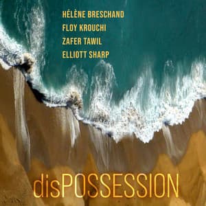 Dispossession - Hélène Breschand