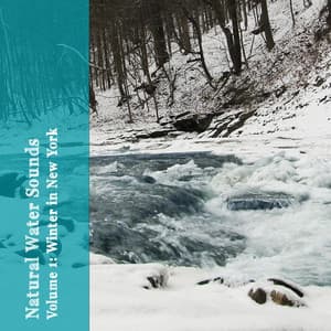 Natural Water Sounds, Vol. 1: Winter in New York - The Relaxing Sounds of Water