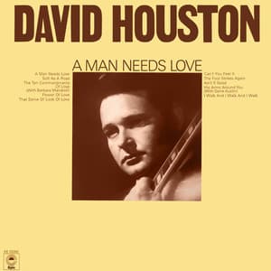 A Man Needs Love - David Houston