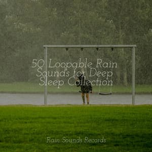 50 Loopable Rain Sounds for Deep Sleep Collection - Anxiety Relief