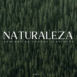 Naturaleza: Sonidos De Tardes Lluviosas Vol. 1 - Registradores de lluvia