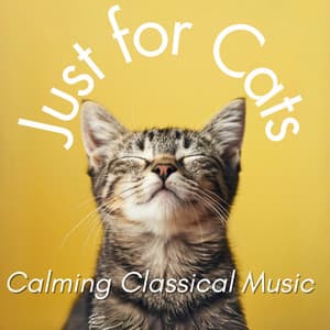 Just for Cats - Calming Classical Music - Relax My Cat
