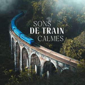 Sons de train calmes - Musique Thérapeutique Naturelles