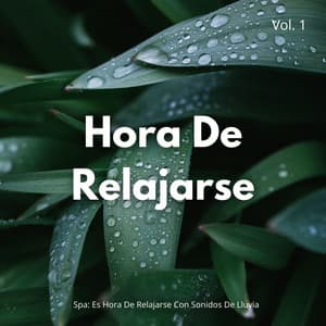 Spa: Es Hora De Relajarse Con Sonidos De Lluvia Vol. 1 - Sol y Lluvia
