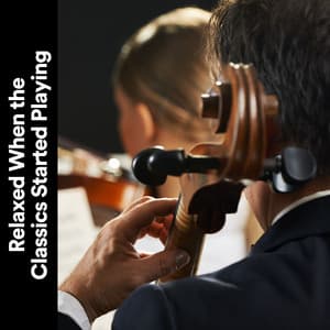Relaxed When the Classics Started Playing - Classical