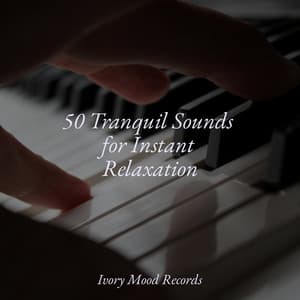 50 Tranquil Sounds for Instant Relaxation - Ivory Mood