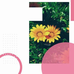 Music for Refreshing Spring - Beautiful Jazz Ballad - Rilassante Jazz Musica Ambiente