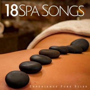 18 Spa Songs - Experience Pure Bliss with the Best Collection of Wellness - Serena Wood