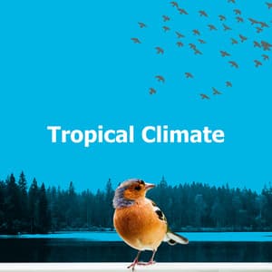 Tropical Climate - Thermal Element