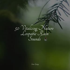 50 Natural Rain Sounds for Chilling Out - Sleep Meditation Dream Catcher