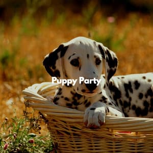 Puppy Party - Jazz for Dogs