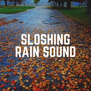 Sloshing Rain Sound - Rainforest Ambience