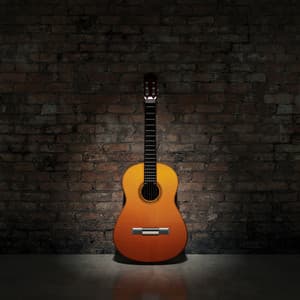 Guitar Music Serenades for Quiet Relaxation - Guitars Against Covid-19