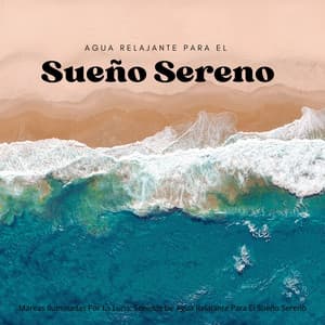 Mareas Iluminadas Por La Luna: Sonidos De Agua Relajante Para El Sueño Sereno - Los durmientes de agua