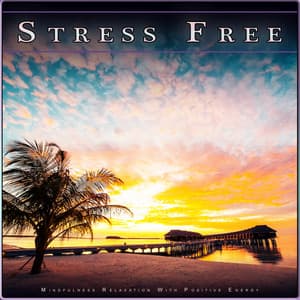 Stress Free: Mindfulness Relaxation With Postive Energy - Calm Music