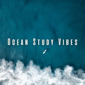 Ocean Study Vibes: Chill Sounds for Academic Focus - 101 Sea