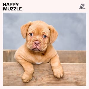 Happy Muzzle: Relaxing Pet Playlist - Dog Sleep Academy