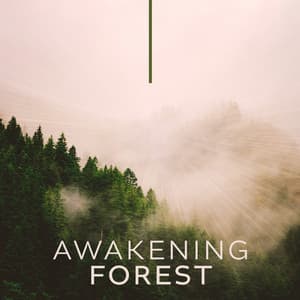 Awakening Forest: Morning Yoga for Abundance, Floating Energy Meditation, Nature Sounds - Nature Zone