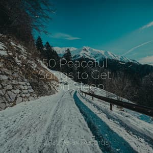 50 Peaceful Songs to Get You Sleep - Reiki Music