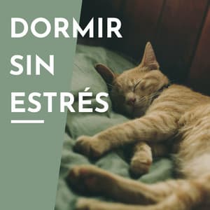 Dormir Sin Estrés: Música Relajante para Calmar la Mente y Dejar de Pensar - Música para Dormir Rápido