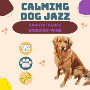 Barkin’ Blues, Groovin' Paws - Calming Dog Jazz