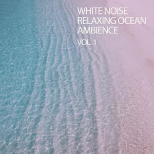 White Noise Relaxing Ocean Ambience - The Rain Factory