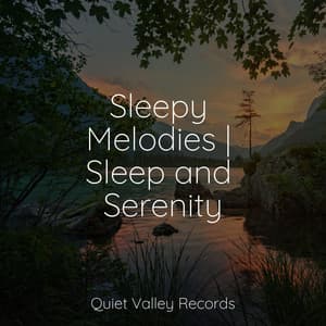 Sleepy Melodies | Sleep and Serenity - Life Sounds Nature