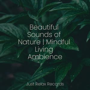 Beautiful Sounds of Nature | Mindful Living Ambience - Chillout Lounge