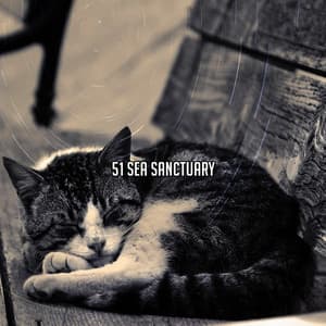 51 Sea Sanctuary - Smart Baby Lullabies
