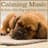 Relax My Puppy