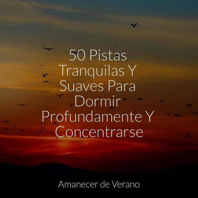 50 Pistas Tranquilas Y Suaves Para Dormir Profundamente Y Concentrarse - Sons da Natureza