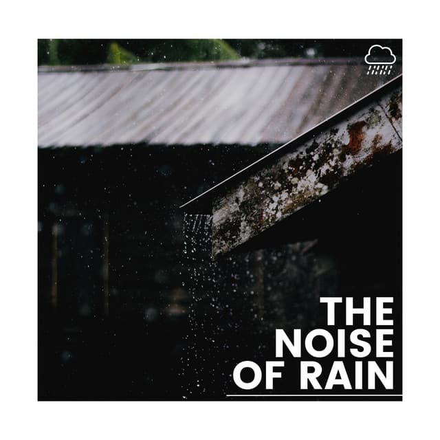 The Noise of the Rain - Gentle Rain Makers