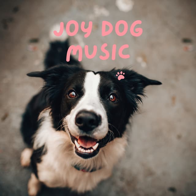 Joy Dog Music - Pet Music Therapy