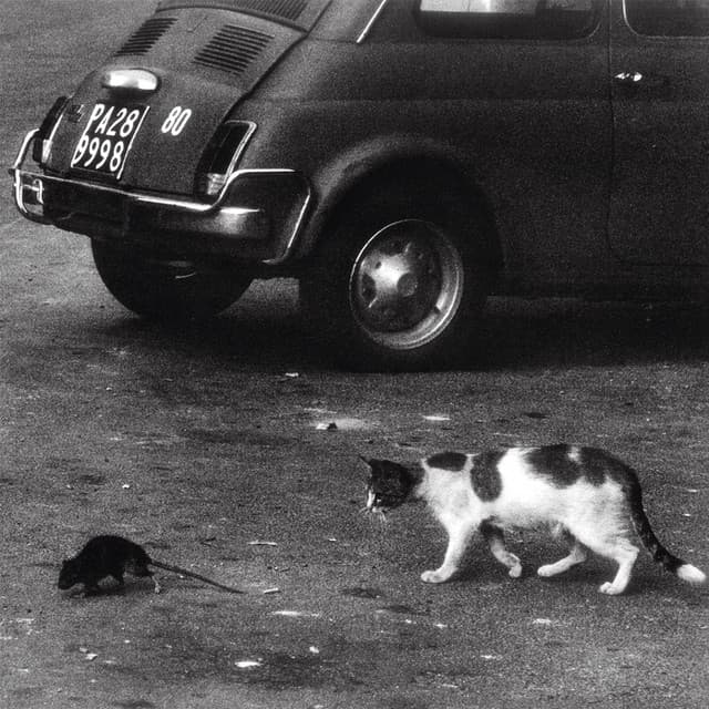 Palermo - Conway the Machine